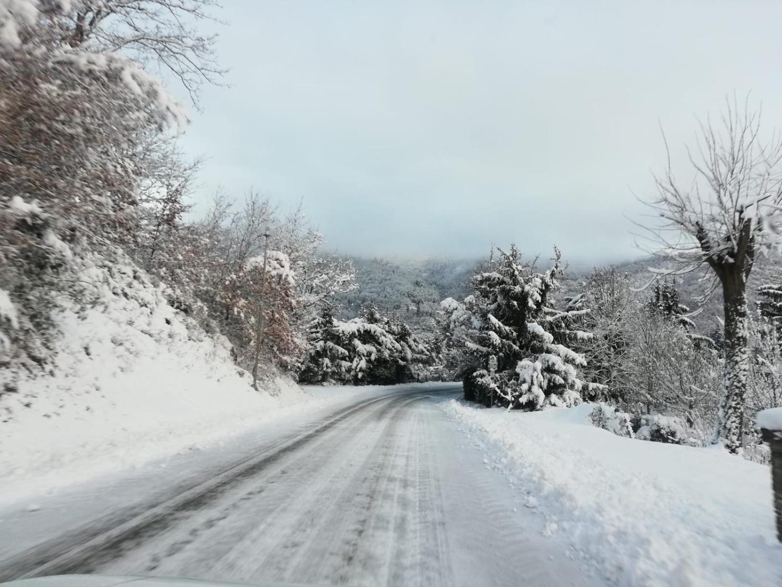 Cetica Il Rifugio Di Vale 빌라 외부 사진